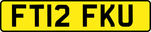 FT12FKU