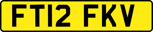 FT12FKV