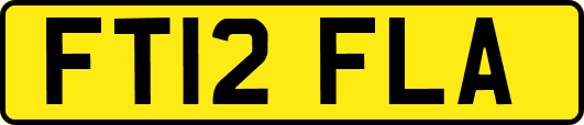 FT12FLA