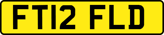 FT12FLD