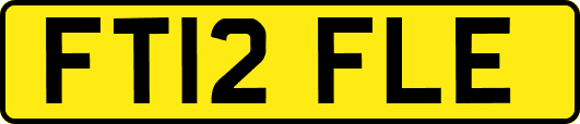FT12FLE