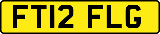 FT12FLG