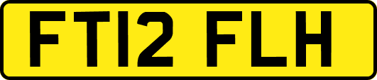 FT12FLH