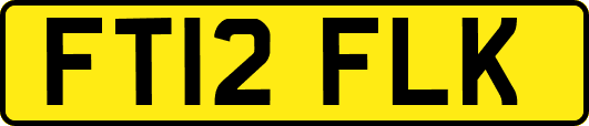 FT12FLK