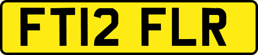 FT12FLR