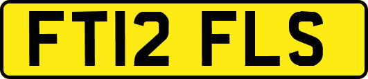 FT12FLS