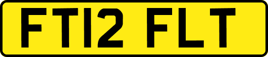 FT12FLT