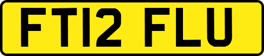 FT12FLU