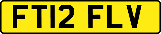 FT12FLV