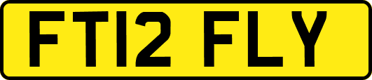 FT12FLY