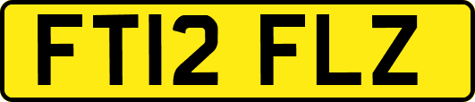 FT12FLZ