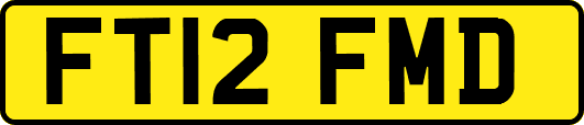 FT12FMD