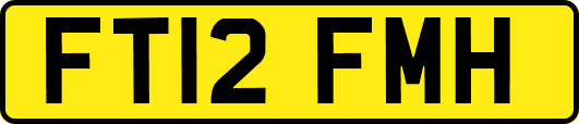 FT12FMH