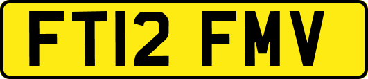 FT12FMV
