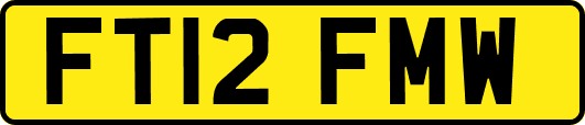 FT12FMW