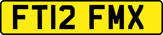 FT12FMX