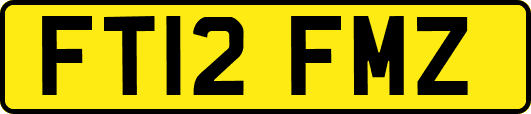 FT12FMZ