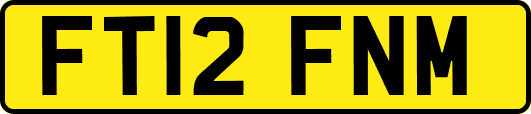 FT12FNM