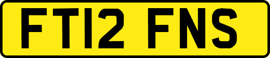 FT12FNS