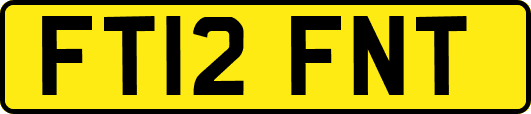 FT12FNT