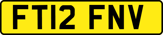 FT12FNV