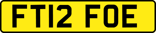 FT12FOE