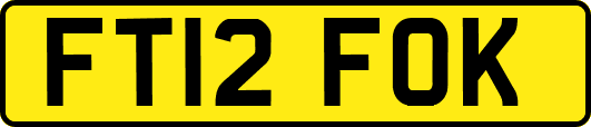 FT12FOK