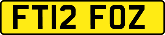 FT12FOZ