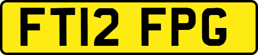 FT12FPG
