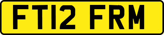 FT12FRM