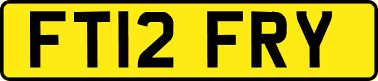 FT12FRY
