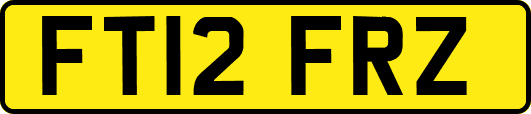 FT12FRZ
