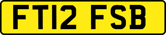 FT12FSB