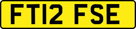 FT12FSE