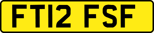 FT12FSF