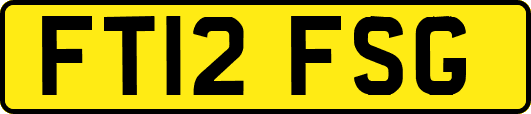 FT12FSG