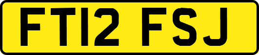 FT12FSJ