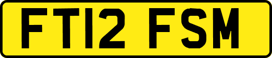 FT12FSM