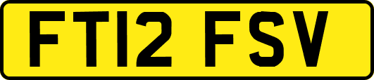 FT12FSV