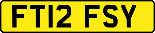 FT12FSY