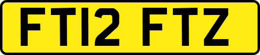 FT12FTZ