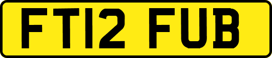 FT12FUB