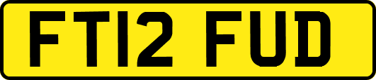 FT12FUD