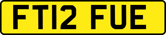FT12FUE