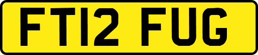 FT12FUG