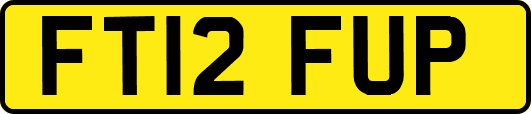 FT12FUP