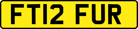 FT12FUR