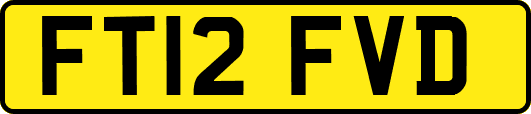 FT12FVD