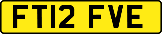 FT12FVE