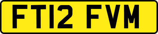 FT12FVM